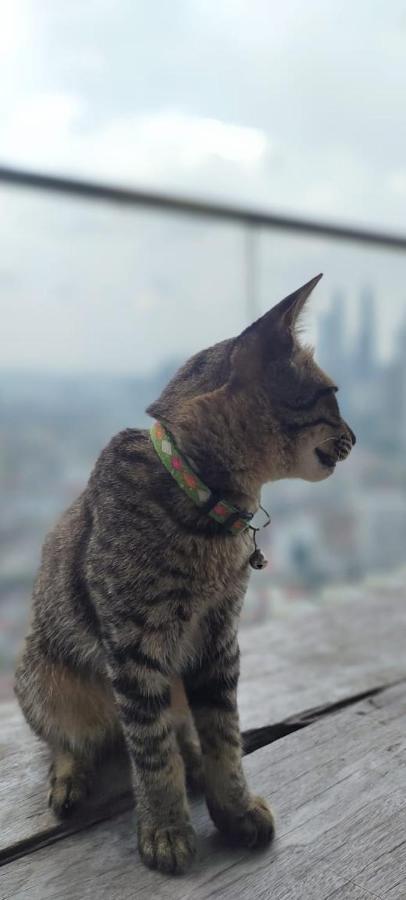 Hostel Penthouse On 34 - The Highest Unit And Views In Regalia & Private Rooftop Terrace *